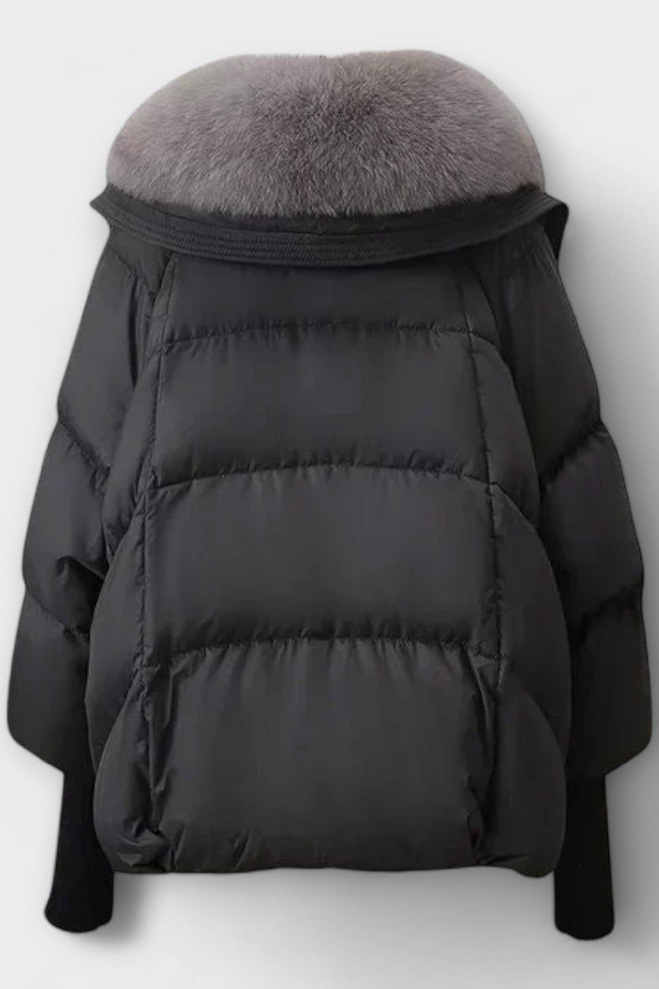 Elegant Coat with Fur