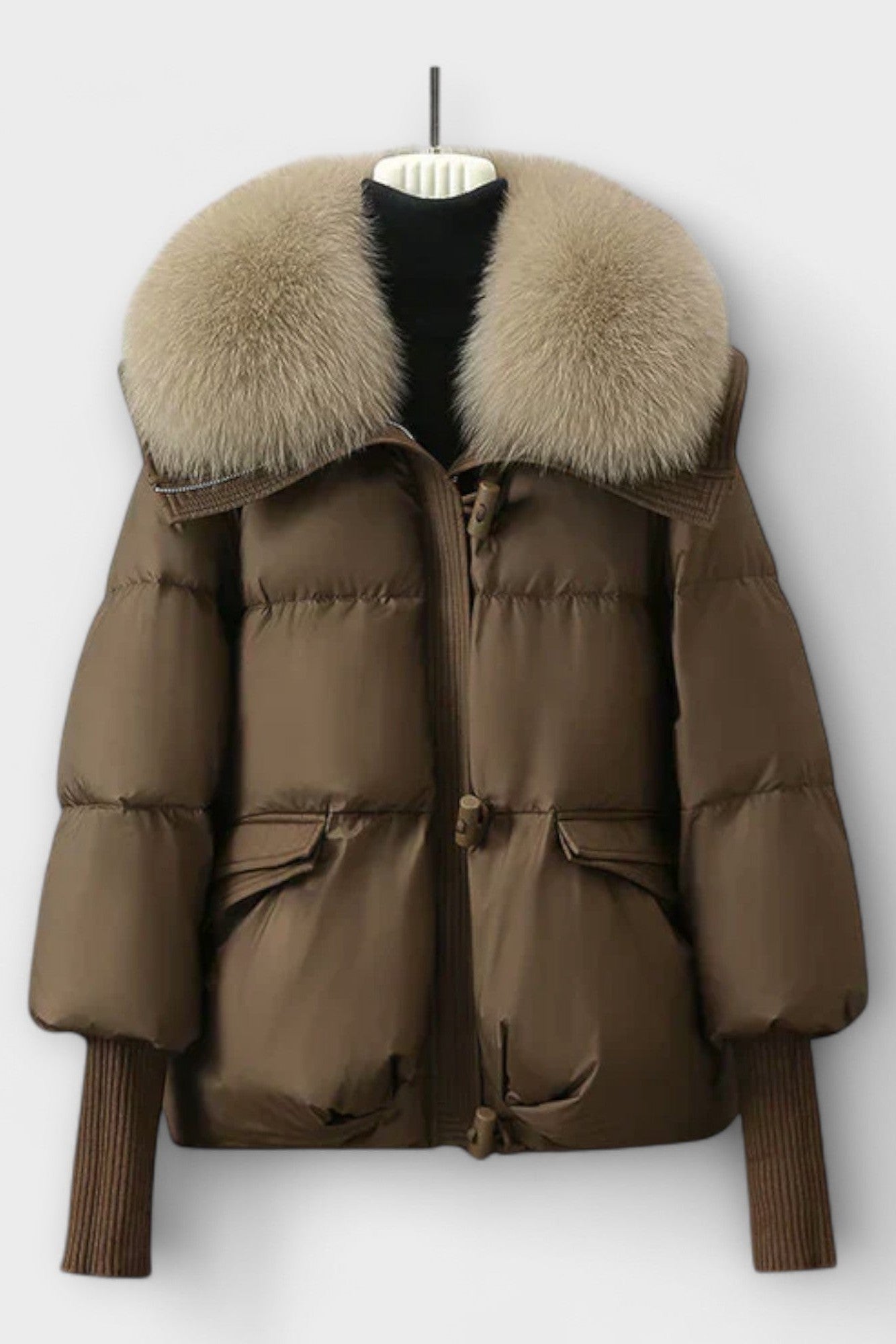 Elegant Coat with Fur